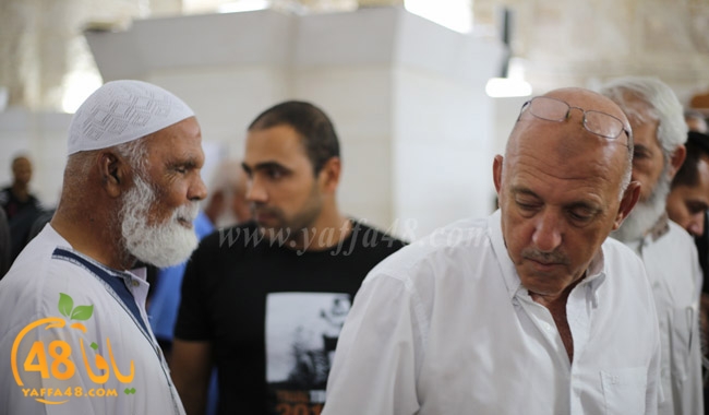 laila qader 3omar (2).jpg